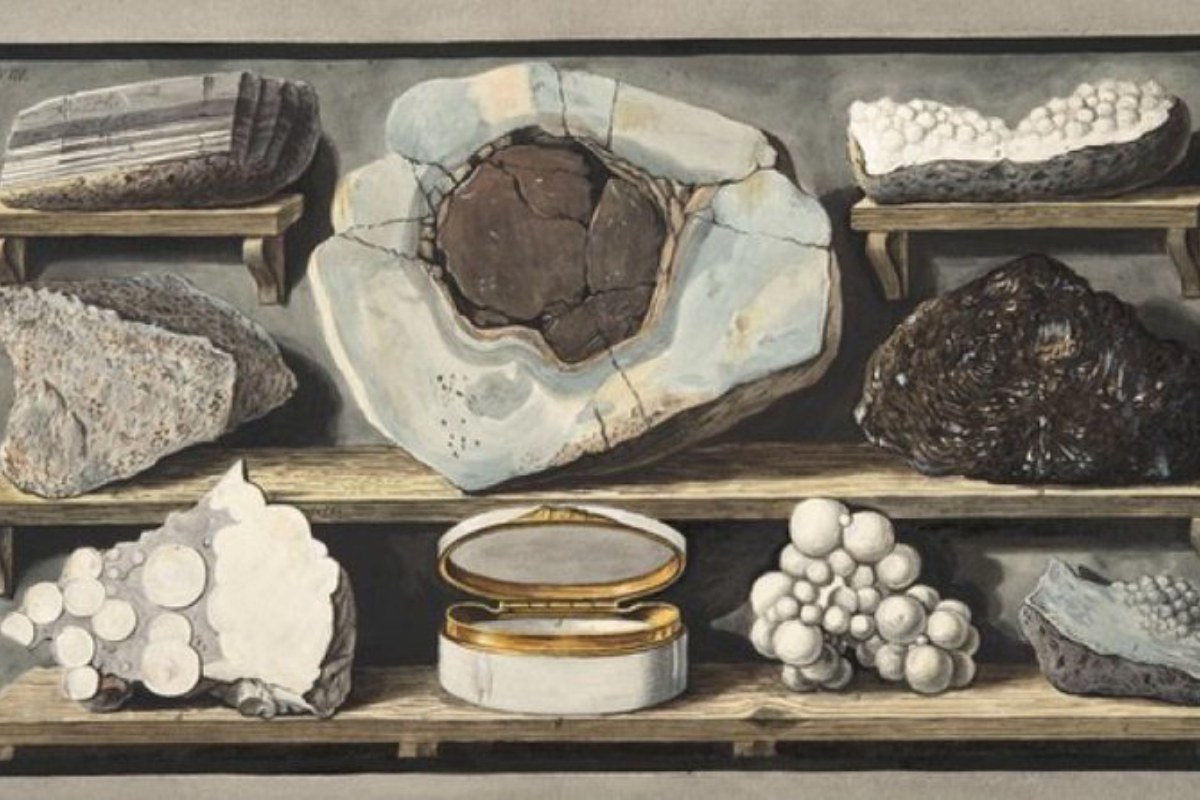 Illustration of geological specimens, including various minerals and rocks, arranged on wooden shelves with an open decorative box.